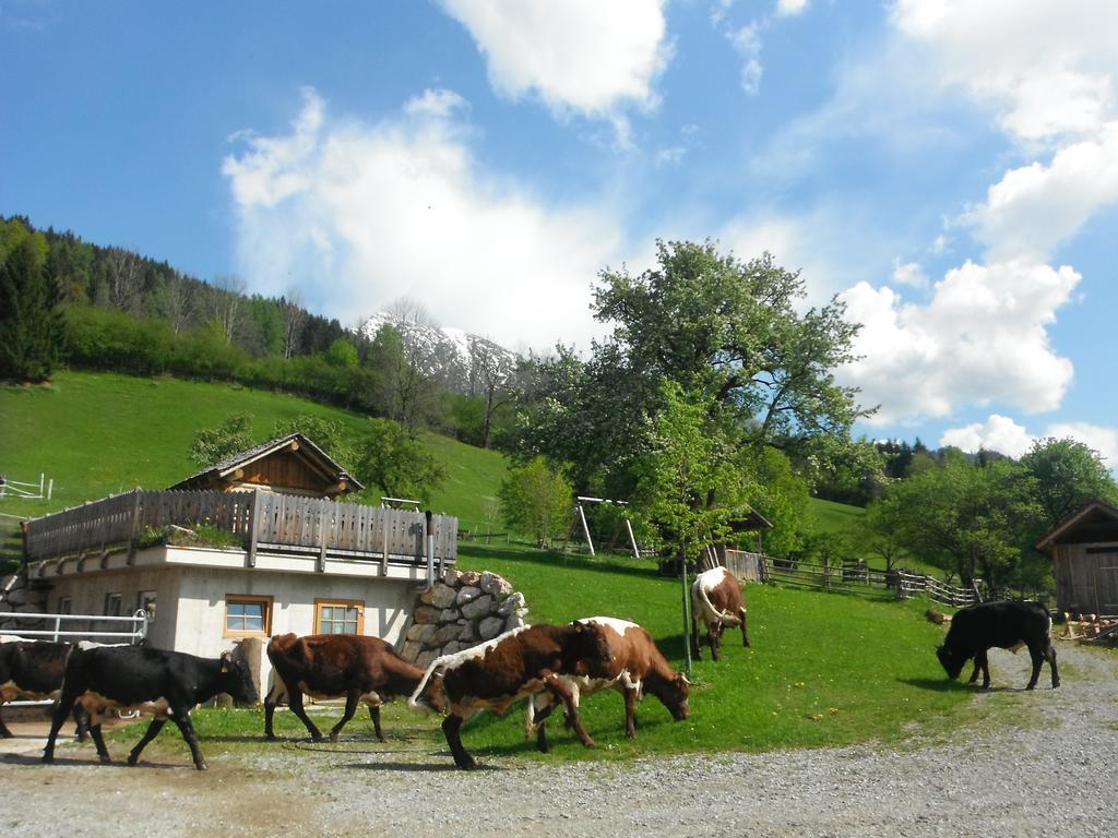 Berghof Thurnergut Spital am Pyhrn Kültér fotó