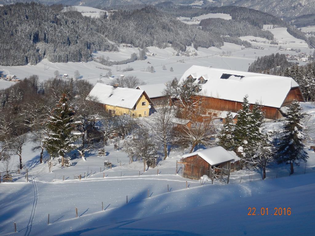 Berghof Thurnergut Spital am Pyhrn Kültér fotó